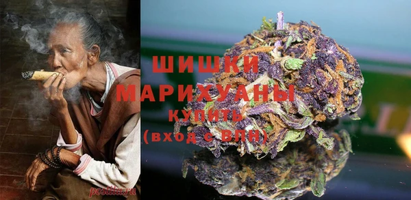 apvp Кукмор