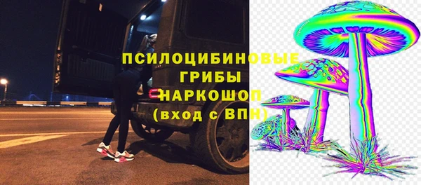 гидра Лабытнанги