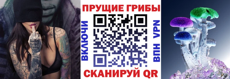 Галлюциногенные грибы MAGIC MUSHROOMS  Тутаев 