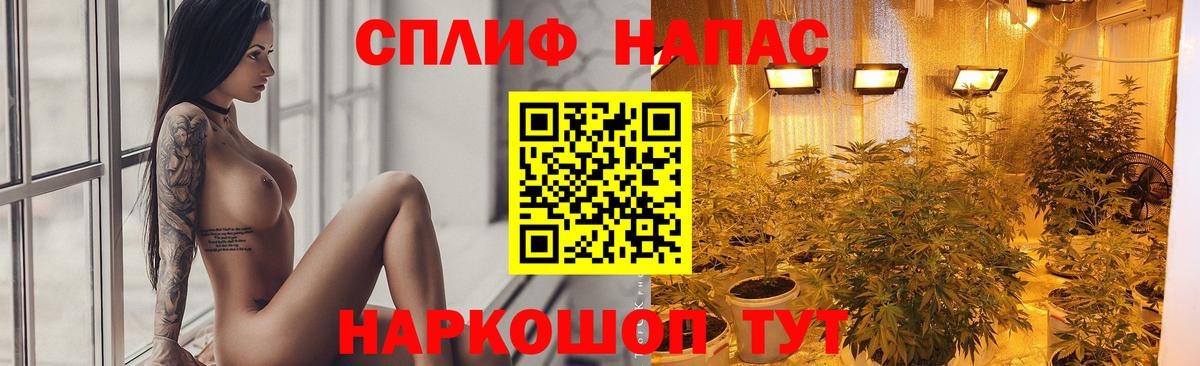 Каннабис Amnesia Тутаев