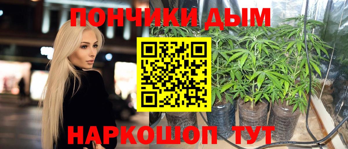 Канабис план  Тутаев  Бошки Шишки LSD WEED  Канабис VHQ  Бошки Шишки LSD WEED 